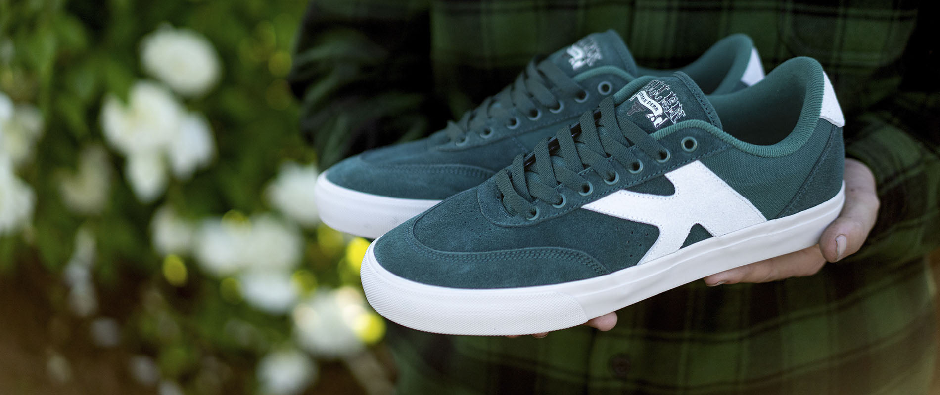 PRO MODEL