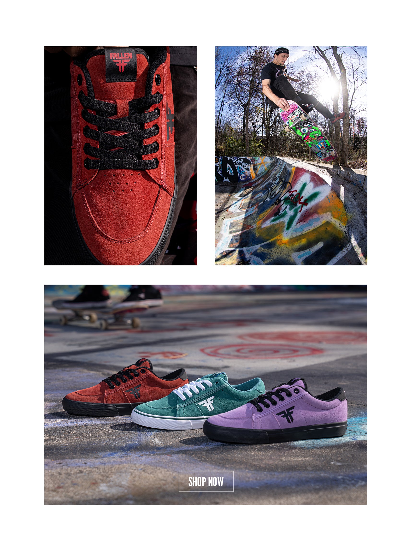 Slideshow Image 3